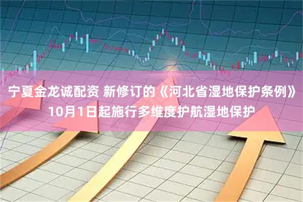 宁夏金龙诚配资 新修订的《河北省湿地保护条例》10月1日起施行多维度护航湿地保护
