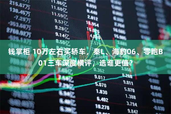 钱掌柜 10万左右买轿车，秦L、海豹06、零跑B01三车深度横评，选谁更值？