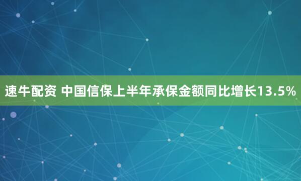 速牛配资 中国信保上半年承保金额同比增长13.5%